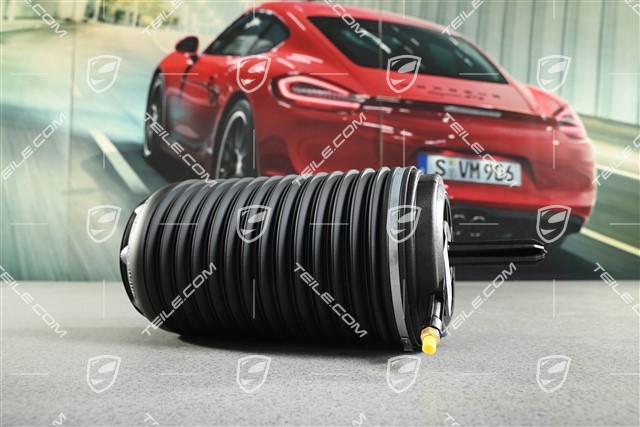 Luftfeder, hinterachse, PASM, L