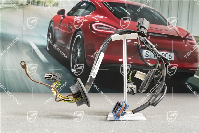 Wiązka elektryczna, przód samochodu, Xenon, L