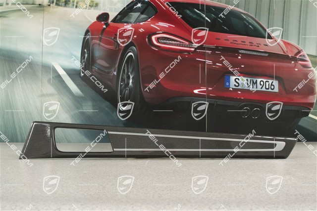 Zierleiste für Türverkleidung, hinten, Carbon Hochglanz, R