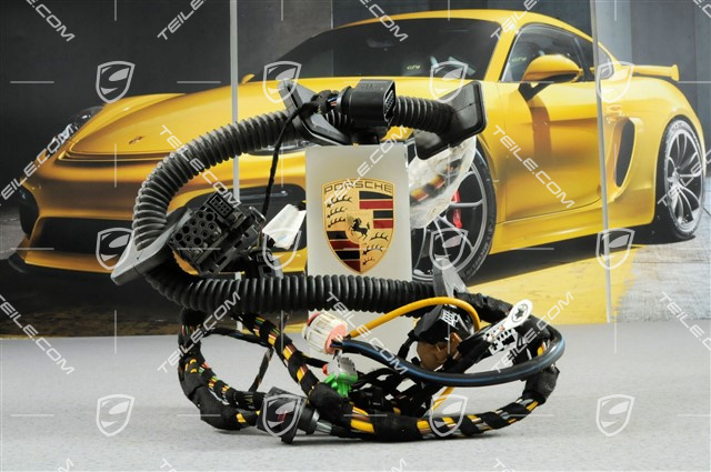 Wiązka elektryczna, Rama montażowa, drzwi kierowcy, L