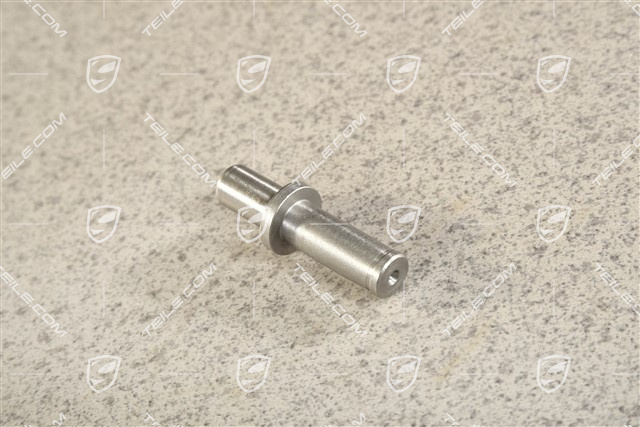 Sworzeń ustalający