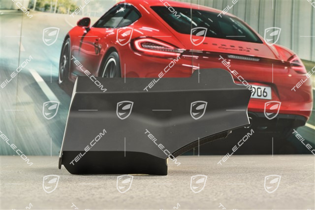 Targa, blenda skrytki dachu, boczna, czarna, R