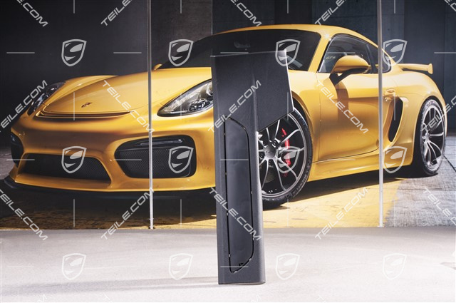 Einstiegleiste / Verkleidung, Schwarz, hinten, Kurzer Radstand, R