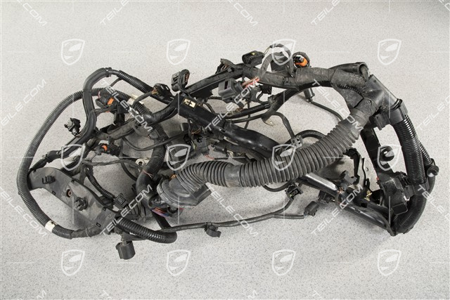 Engine wiring harness, 4.5L 330kW V8 Biturbo