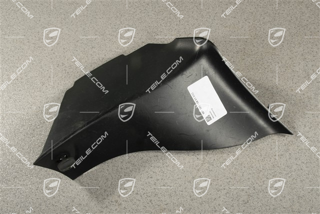 Obudowa tylnej lampy, R