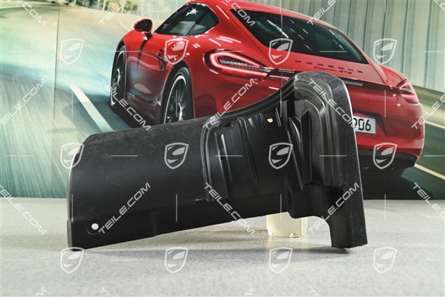 Spoiler / Verkleidung / Blende, Hinten, Schwarz, L