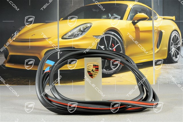 Dichtung Karosserie, Glasdach Dichtung Karosserie, Glasdach