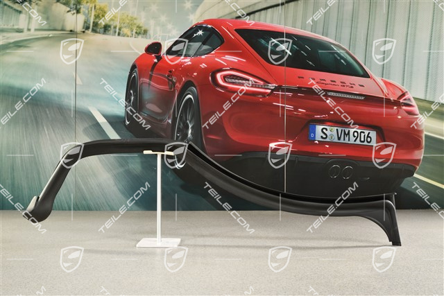 Türdichtung, aussen, hinten, R