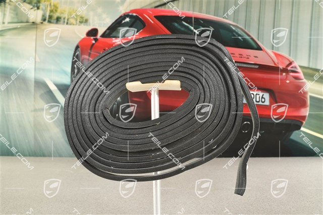 Dichtung für Panoramadach