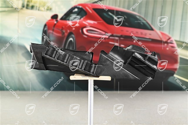 Schaumteil / Strinwand, PDCC