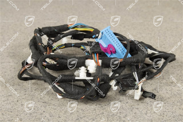 Kabelstrang, Türtafel, Beifahrertür, ASK, R