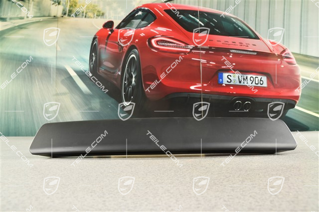 Spyder, Housing for additional brake stop light / Third brake light