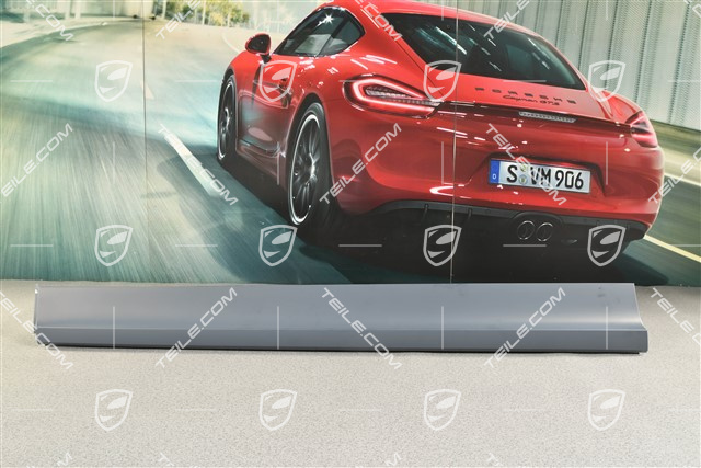 Leiste, Tür vorne, L