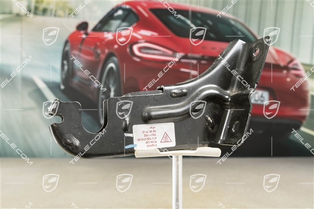 Lager, Rücksitzlehne, Mitte