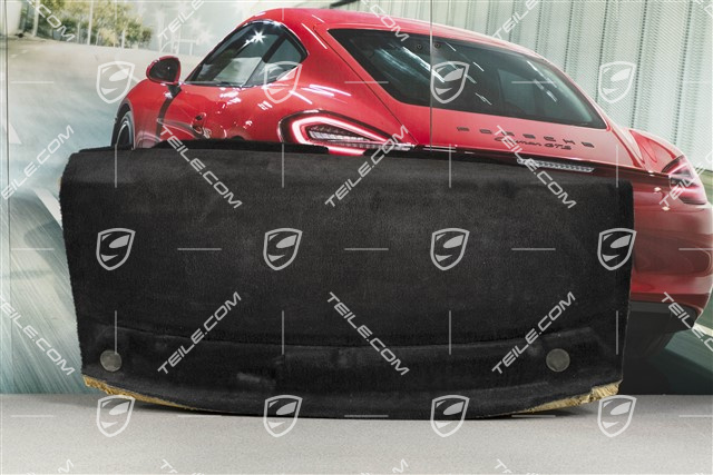 Dywan tylnej ściany / pólki, czarny, system audio ASK, Coupe