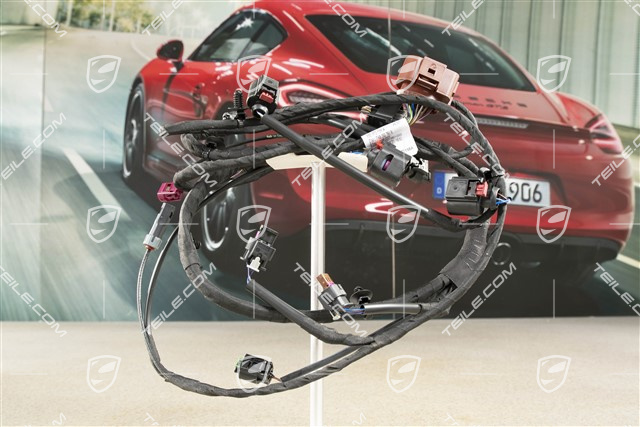 Wiązka elektryczna, zderzak przedni, PDC/Asystent parkowania, R