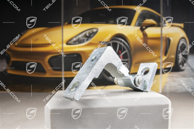 Vordertür, Scharnier, Oben, L