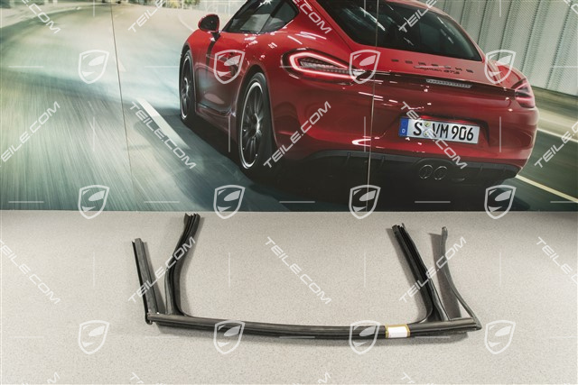 Uszczelka ramy drzwi, tył, L