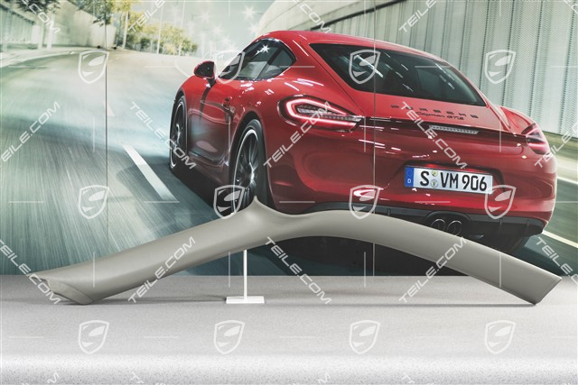 Tapicerka słupka-A, skóra, szara, Coupe, R