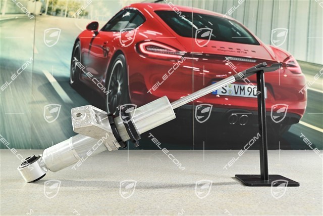 Stossdämpfer / Schwingungsdämpfer, Turbo mit Sportfahrwerk, Tiefergelegt, Hinten, L=R