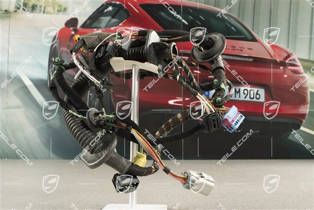 Wiązka instalancji elektrycznej drzwi kierowcy, Bose, L