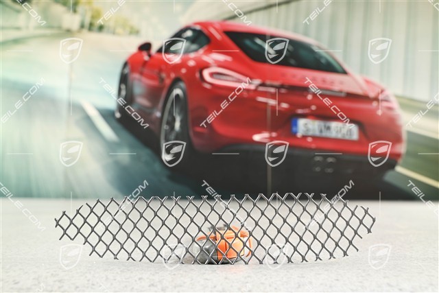 911 R / GT3, Luftauslassgitter seitlich, L