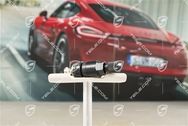 Ventil, für RDK (Reifendruck-Kontrolle), schwarz matt