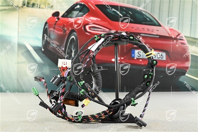 Kabelstrang Beifahrerseite / Bose soundpaket