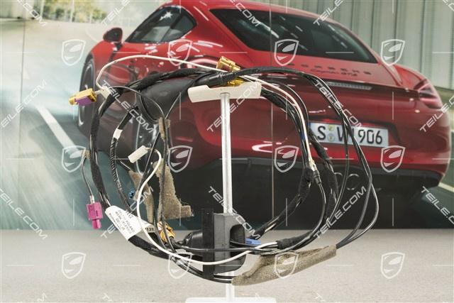 Wiązka instalacji elektrycznej, szyba tylna, 433,92MHz, R