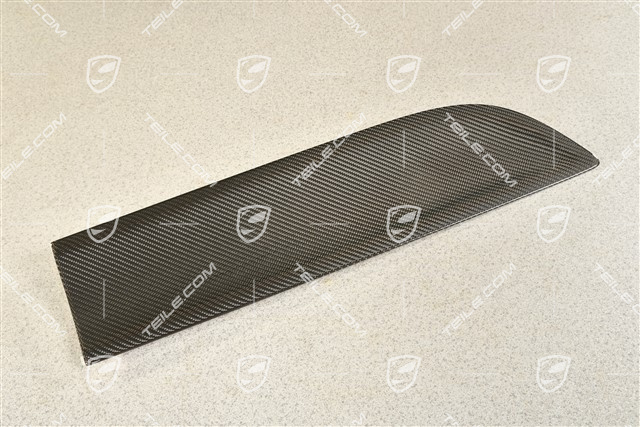 Rear door cover / trim, Carbon, R