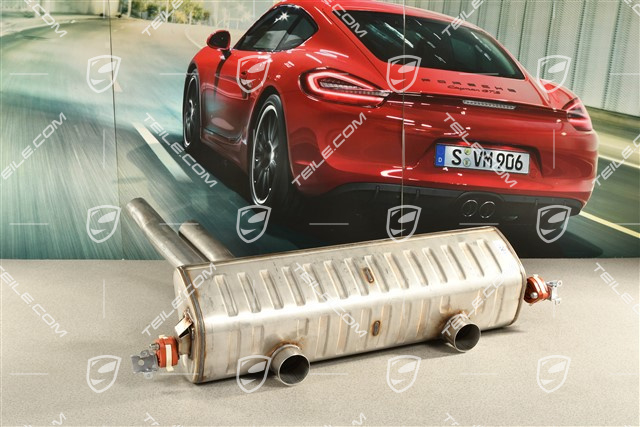 Coupe GTS, Rear silencer / muffler