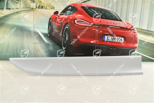 Blenda zewnętrzna drzwi przednich, lakierowana, R