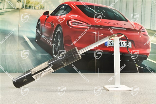 Dämpferbein, Standard-2 PASM, L=R