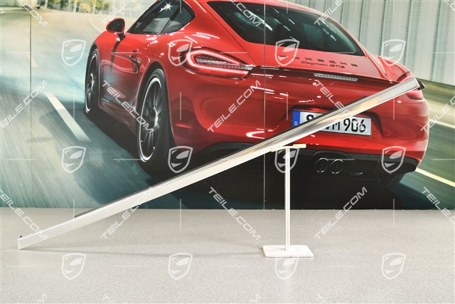 Zierleiste, seitlich, hinten, mit Dichtung, Galvanosilber, R