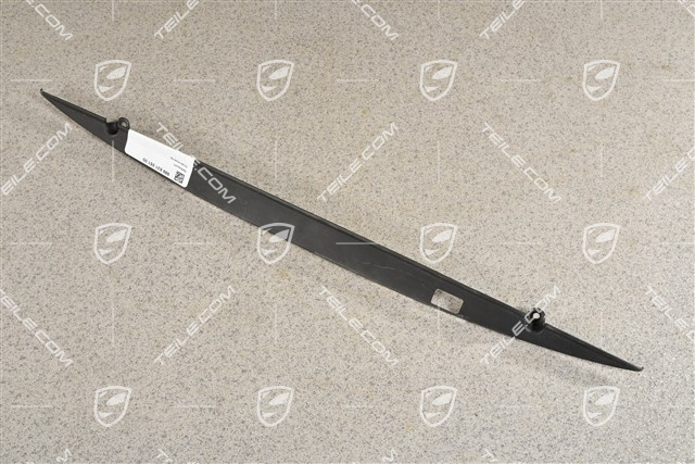 Abdeckblende für Zusatzbremsleuchte