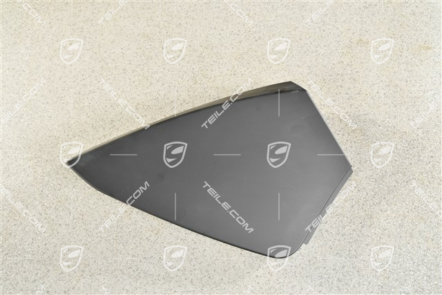 Türverkleidung, vorn, Blende, Einsatz, Schwarz, R