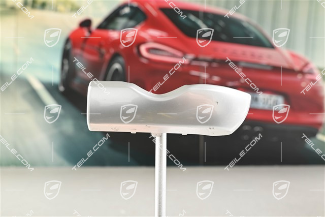 Zierleiste, Beifahrerseite, Galvanosilber, R