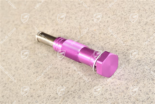 Steuerkette Kettenspanner