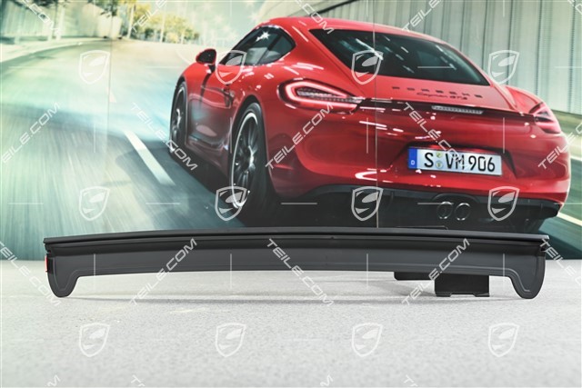 Additional Tailgate Gasket (Central)