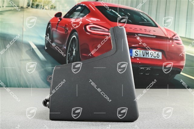 Mittelkonsole, Blende seitlich, Leder, Schwarz, L