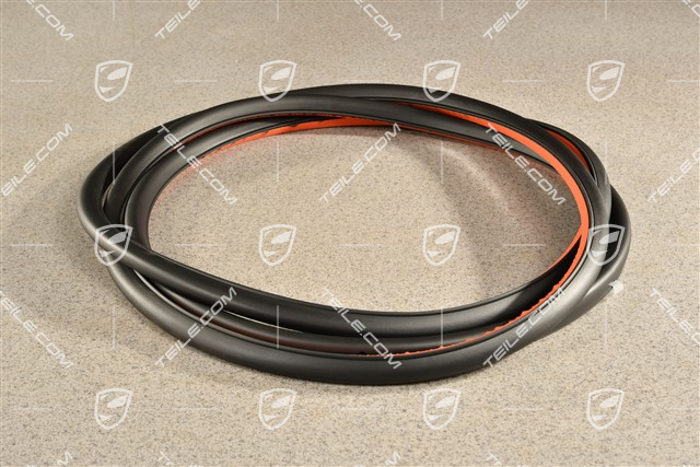 Hintertür, Türdichtung, Aussen, L=R