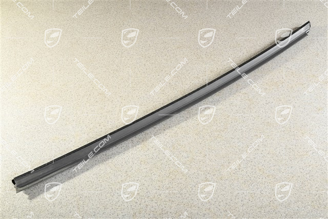 Hintertürleiste, Schwarz Hochglanz, R