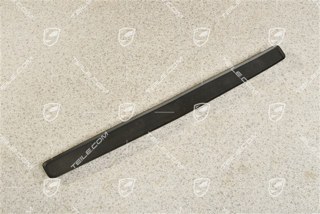 Einstiegleiste, Einlage / Gummipad, R