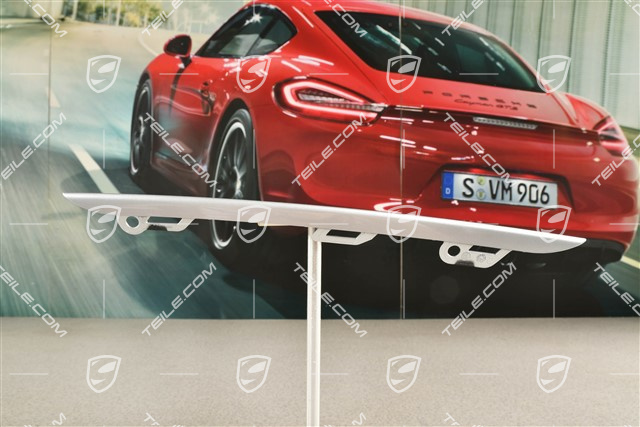 Disc / cover lower, trim for front bumper retaining frame, Rhodium Silver, L