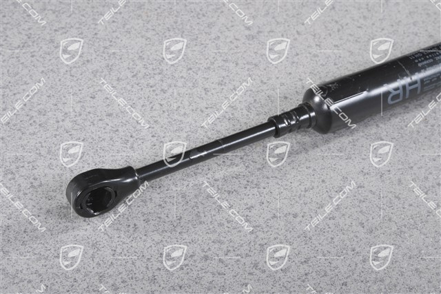 Hintertür, Türfeststeller / Tuerfeststeller, R