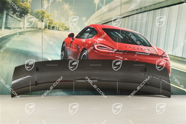 GT2RS rear spoiler/wing
