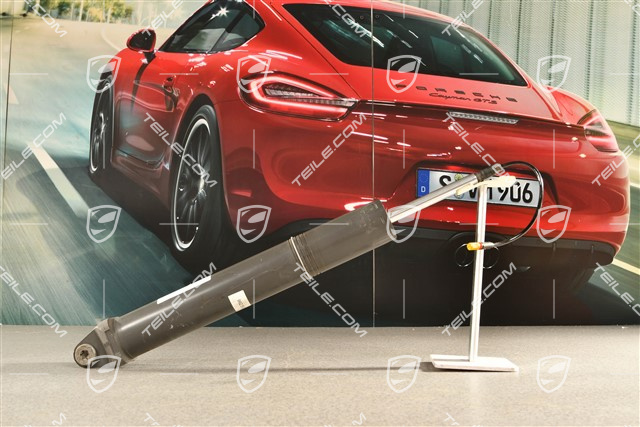 Stossdämpfer / Schwingungsdämpfer, HA, L=R