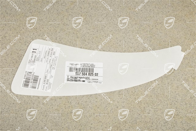 Stone guard decal for side panel, L