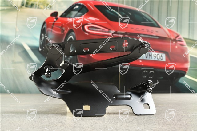 Rear boot lid, engine lid, hinge, L