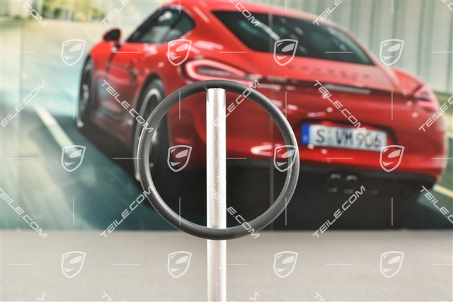 S / GTS / TURBO, O-Ring, Thermostateinsatz